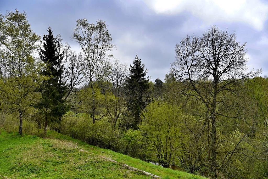 Holiday Home Turovec ตาบอร์ ภายนอก รูปภาพ